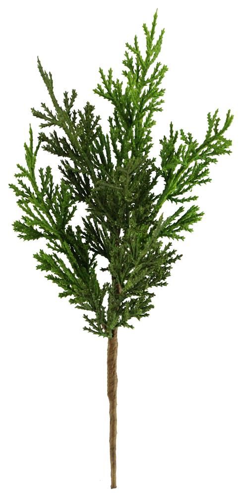 XX2394 | 12"L | Juniper Pick