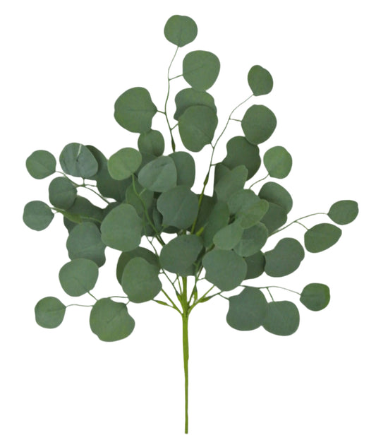 62275 21" Eucalyptus Bush