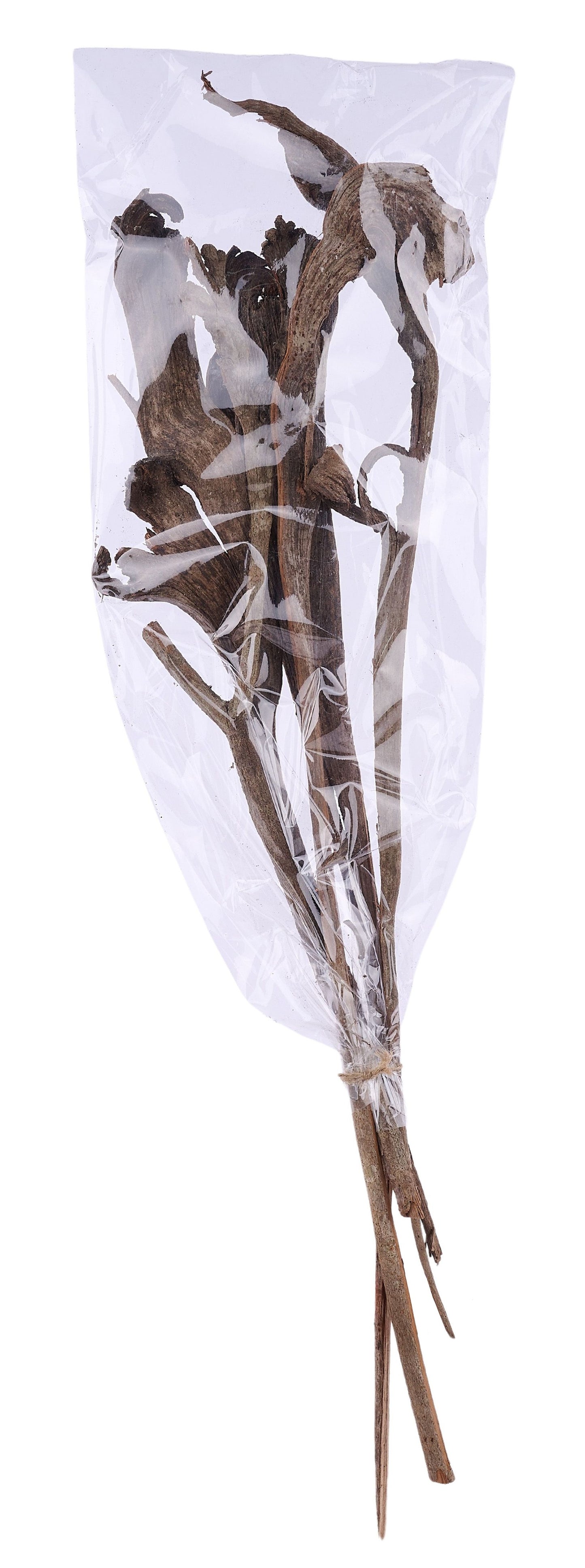 TT3064 | 17.75"L | Mixed Natraj Bundle x5 | Natural