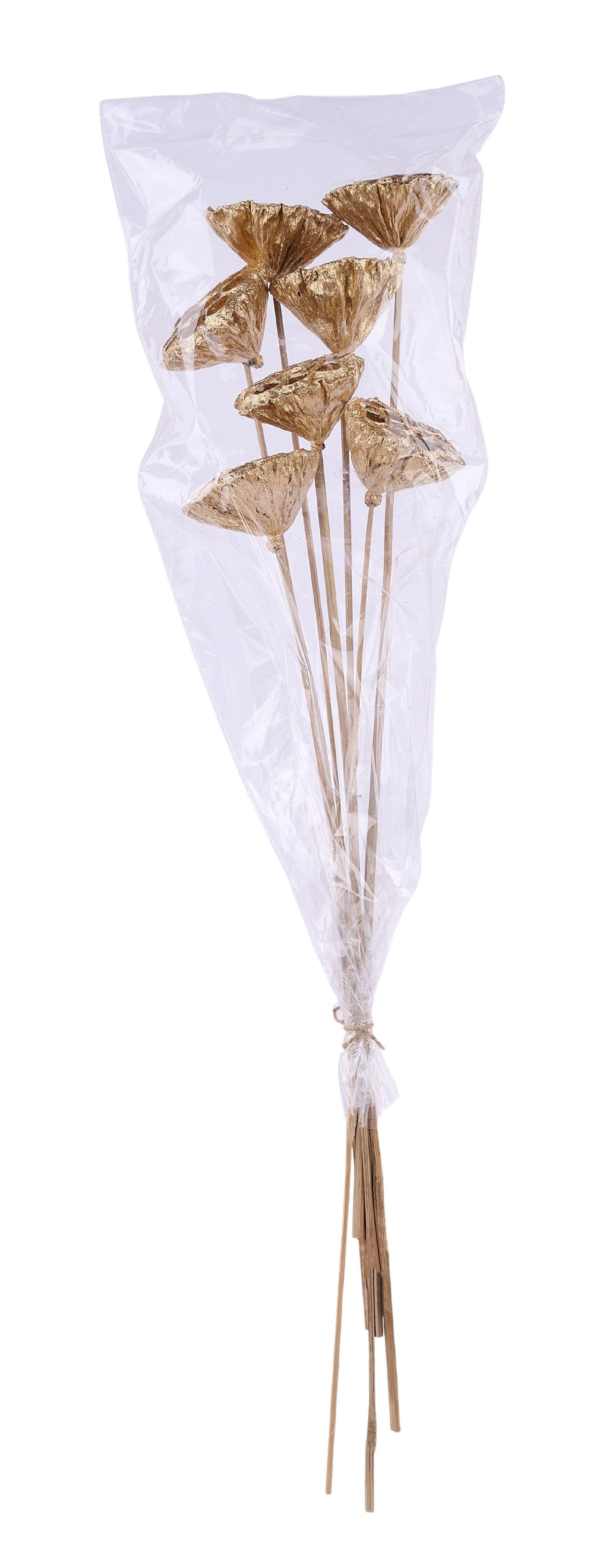 TT316208 | 20"L | Lotus Pod On Stem Bundle x7 | Gold