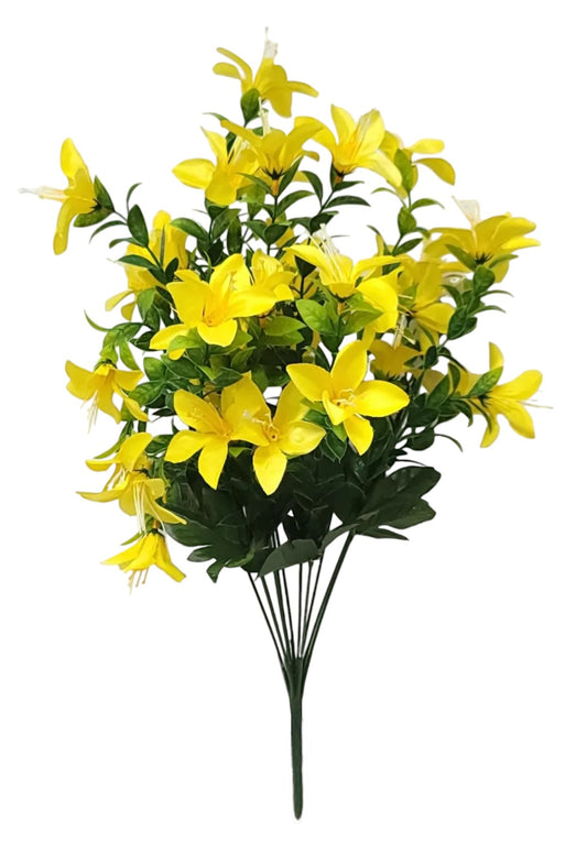 64532 | Tweedia Bush x12 | Yellow