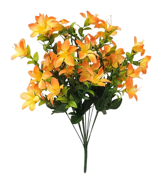 64533 | Tweedia Bush x12 | Orange