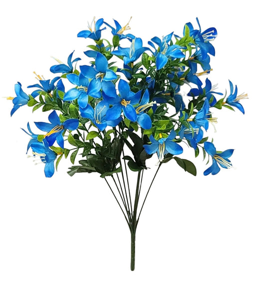 64536 | Tweedia Bush x12 | Blue