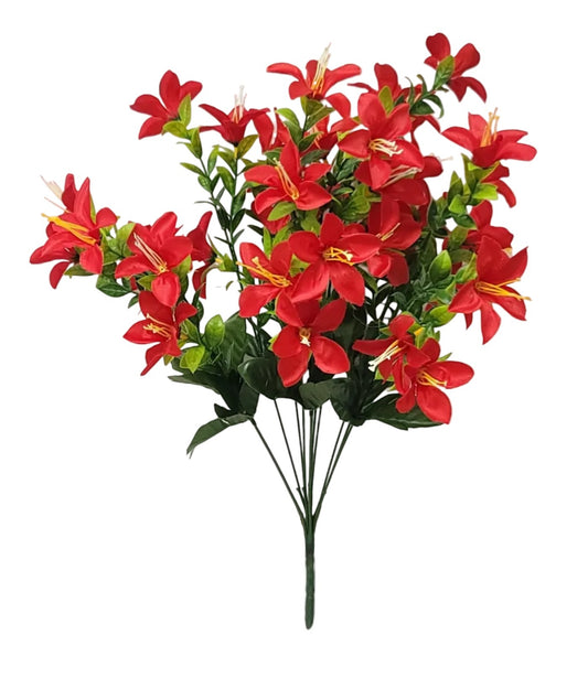 64538 | Tweedia Bush x12 | Red