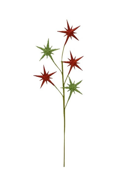 064717 | 27.5" | BETHLEHEM STAR SPRAY