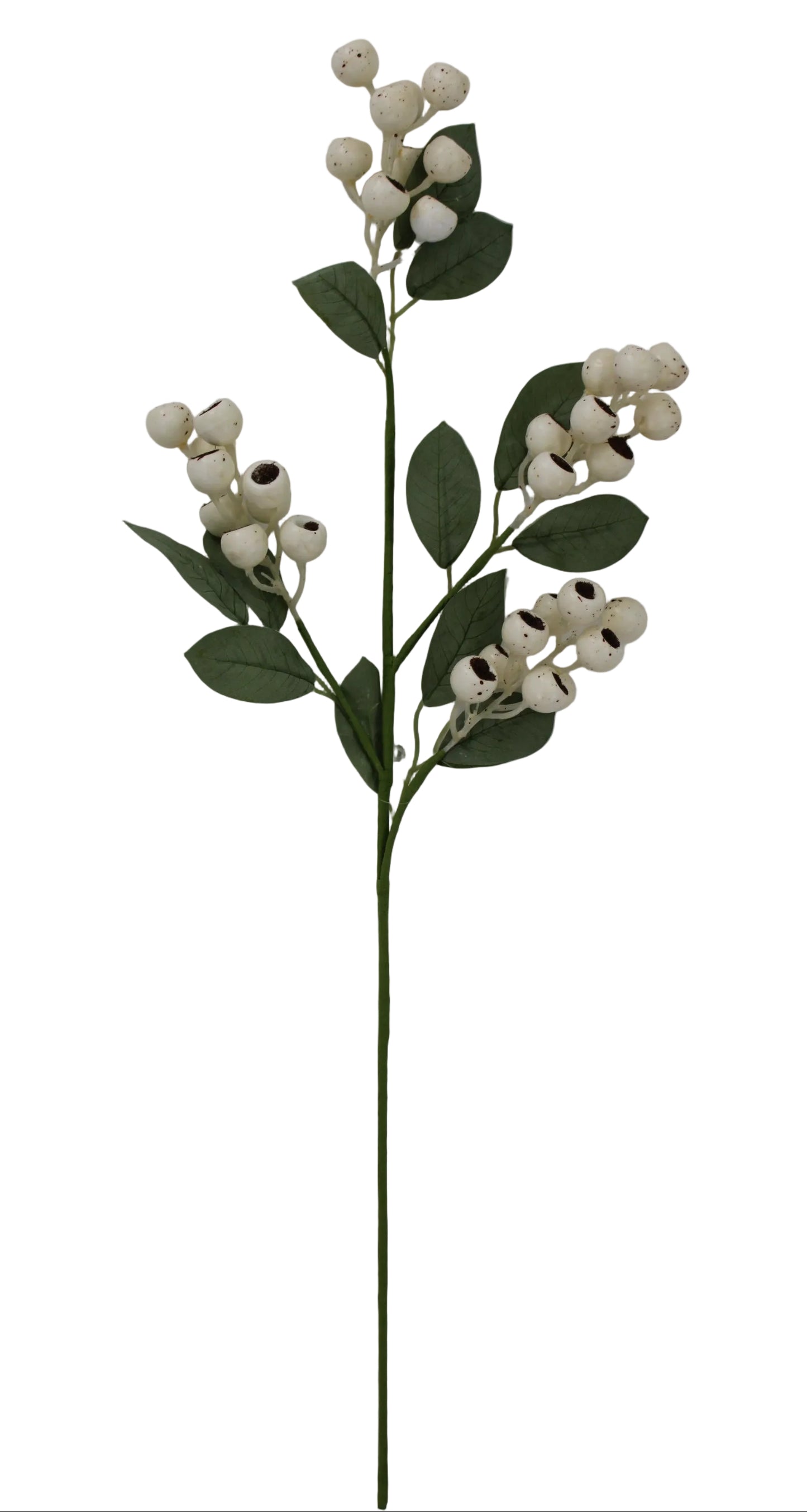 65444-CR | 30" | BERRY SPRAY | CREAM