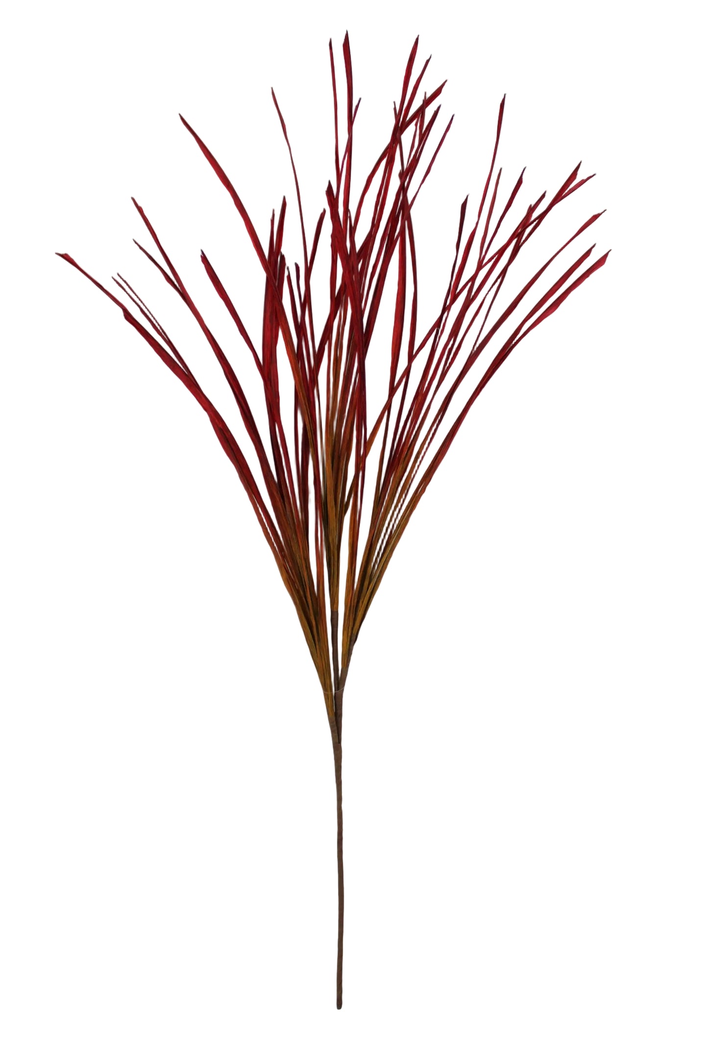 65659-RD | 40" | FLAX GRASS SPRAY | RED
