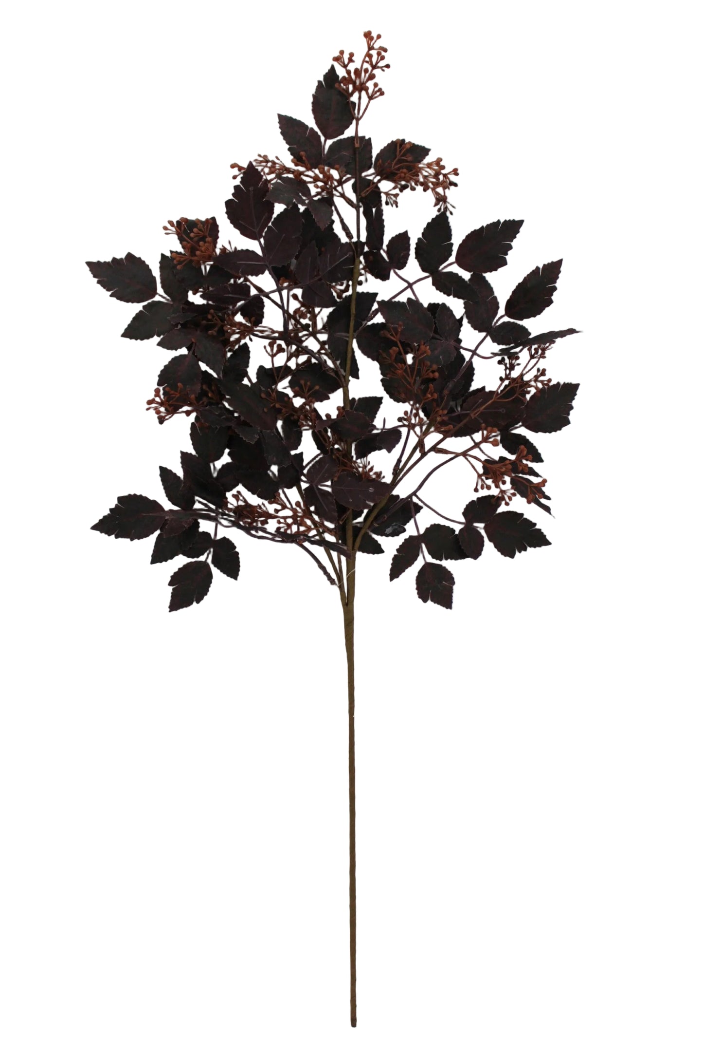 65716 | 34" | CIMICIFUGA BERRY SPRAY | PURPLE