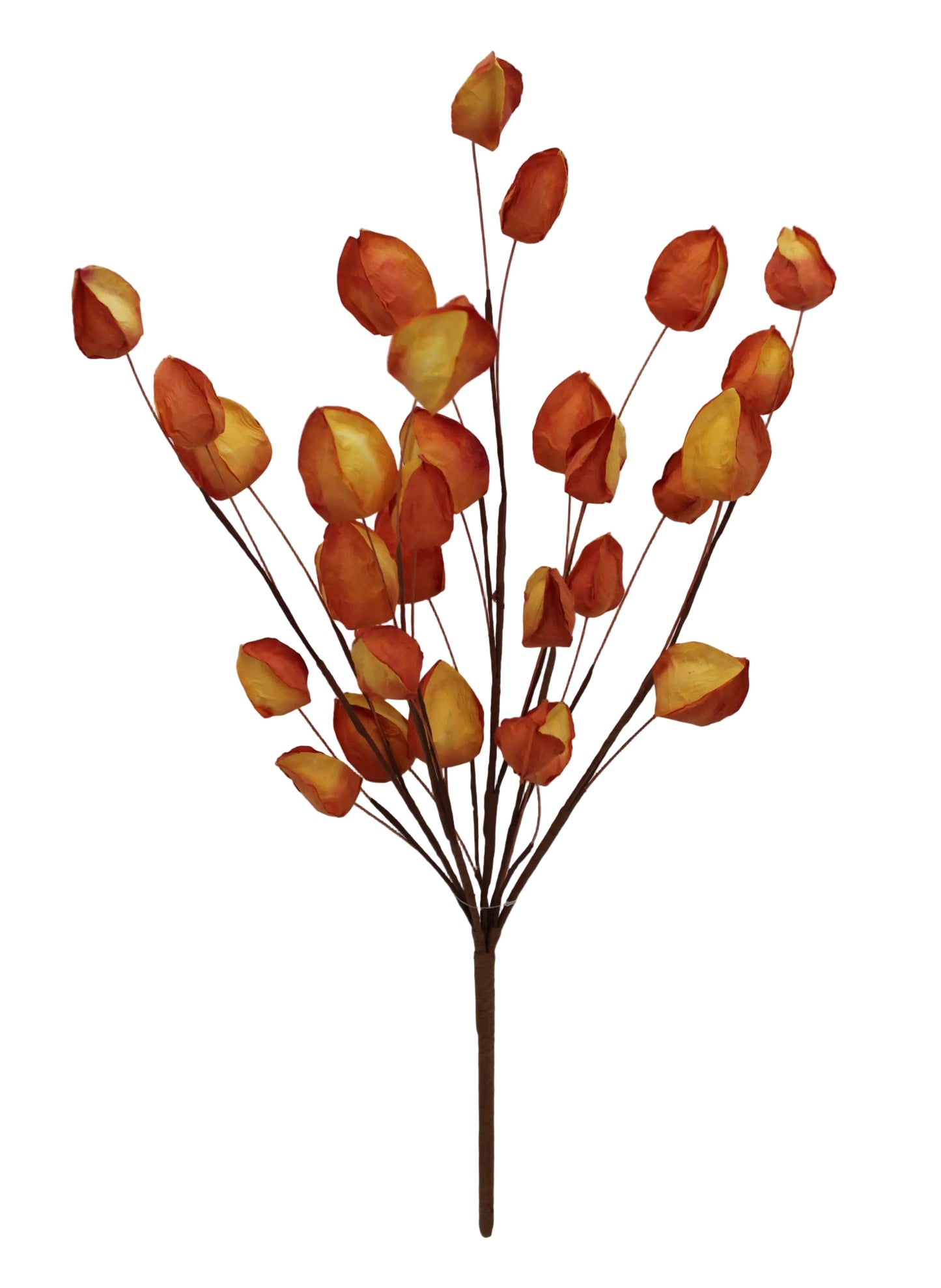 65770-OR | 20" | CHINESE LANTERN BUSH | ORANGE