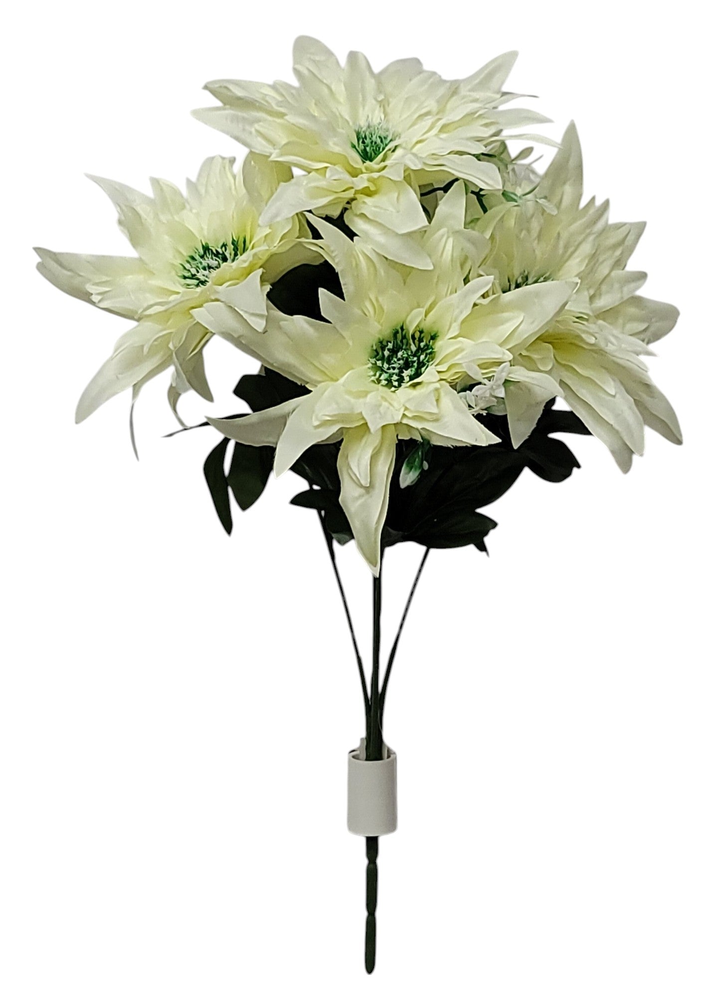 66691 | LG DAHLIA BUSH X5 | CREAM