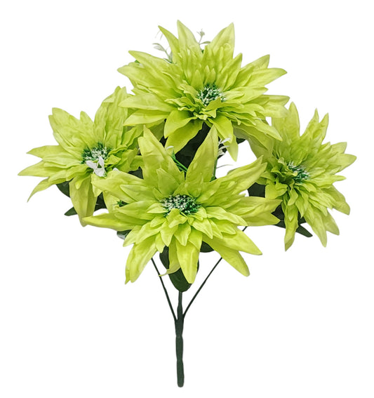 66698 | LG Dahlia Bush x5 | Green - A&B Wholesale Market Inc