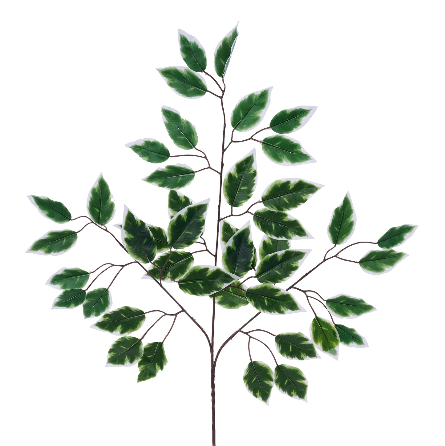 FG684331 |  23.5"L Plastic Ficus Leaf Spray |  Variegated Green |  12Pcs/Bundle
