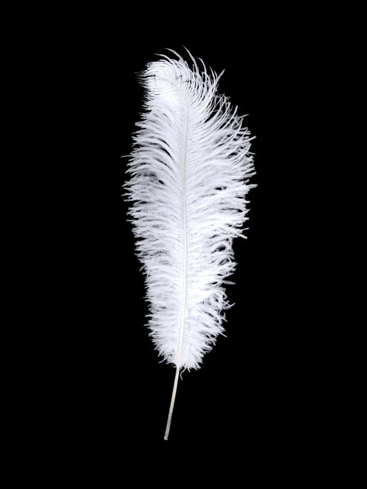 7055-WHITE | 20" | OSTRICH FEATHER | WHITE