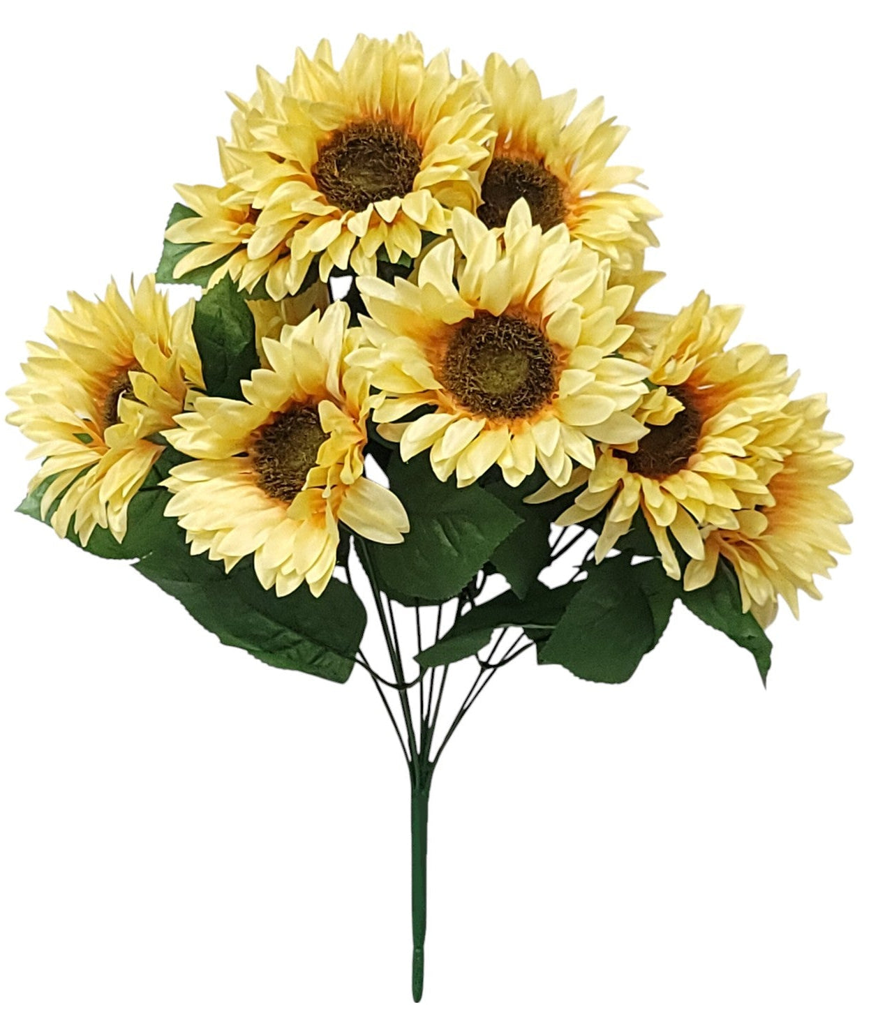 71323 | Sunflowers x10 | Cream