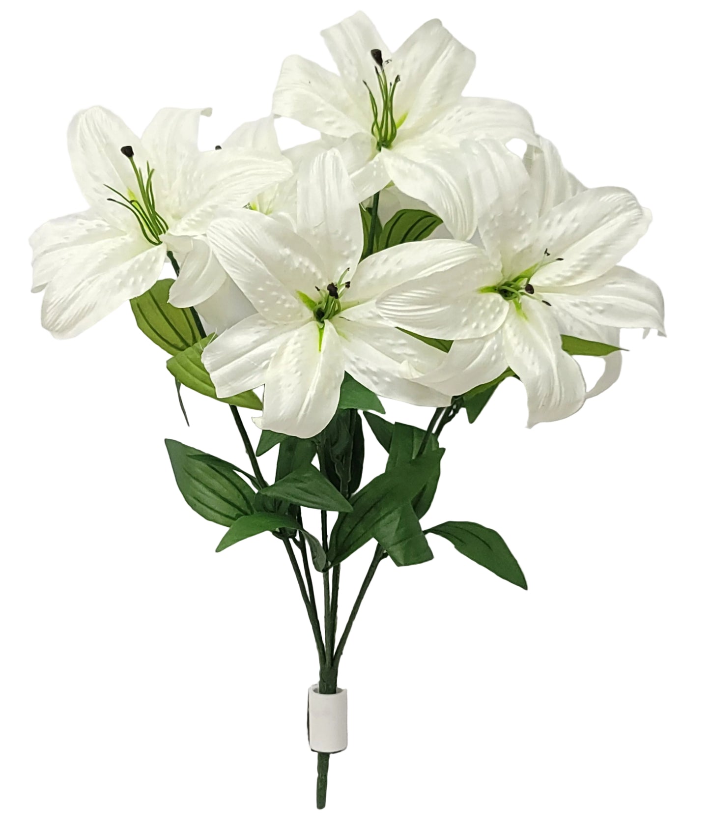 73151 | Casablanca Lily x7 | Cream