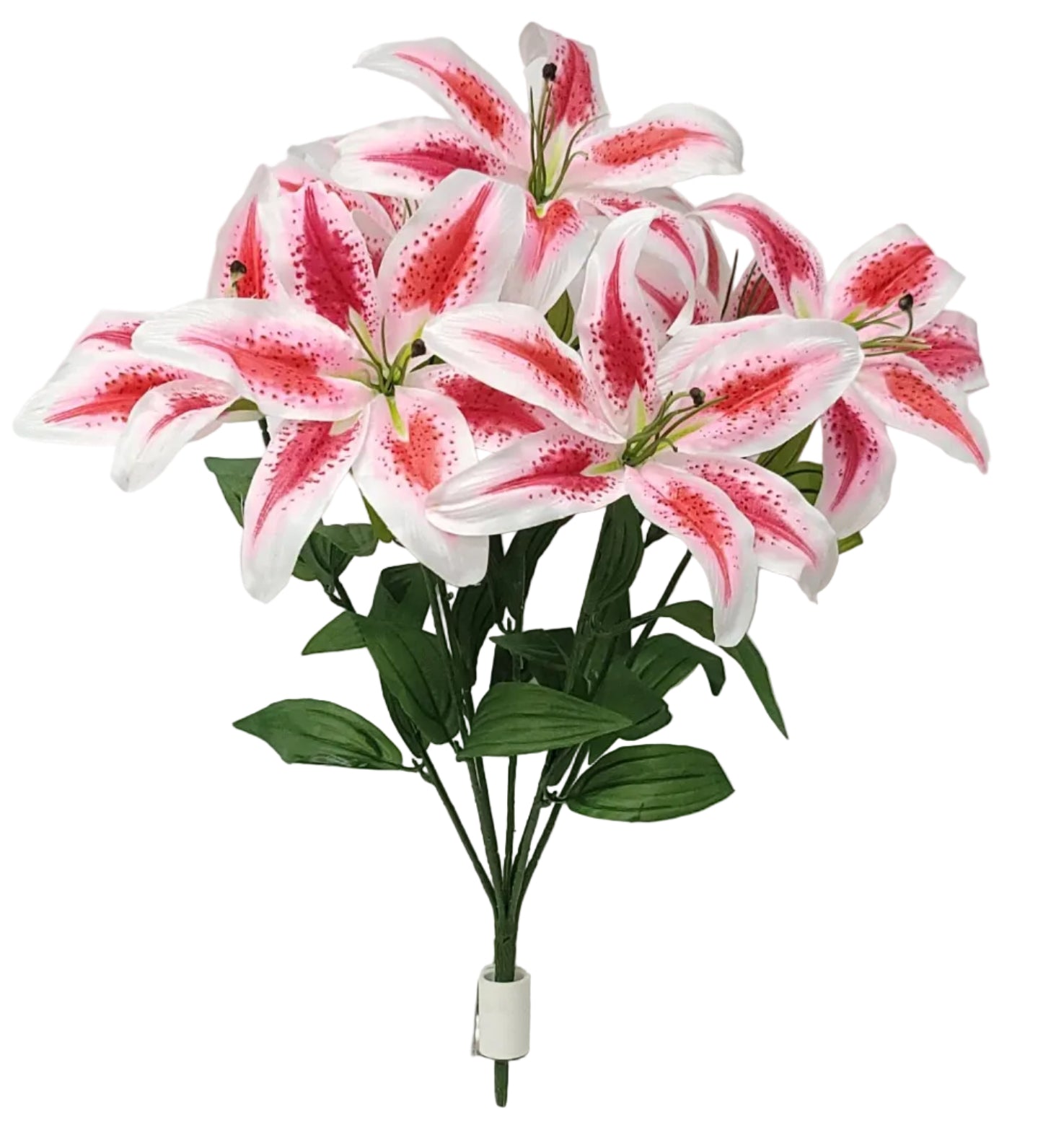 73155 | Casablanca Lily x7 | Rubr