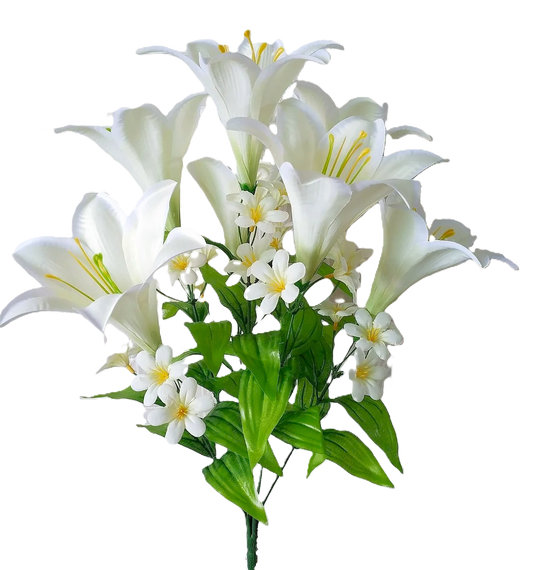 76681 Large Trumpet Lily Bush x7 CREAM