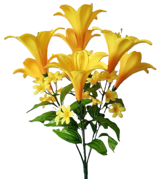 76682 Large Trumpet Lily Bush x7 YELLOW