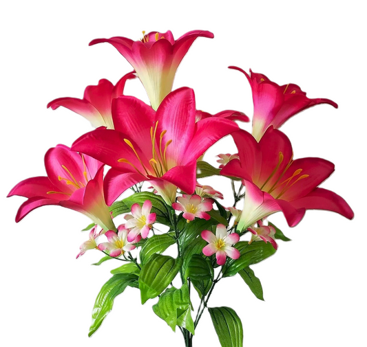 76684 Large Trumpet Lily Bush x7 BEAUTY