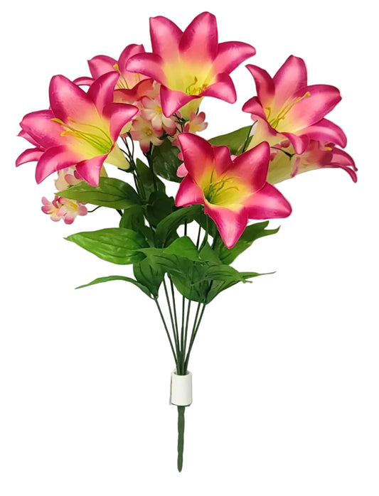 76684 | Large Trumpet Lily Bush x7 | Beauty