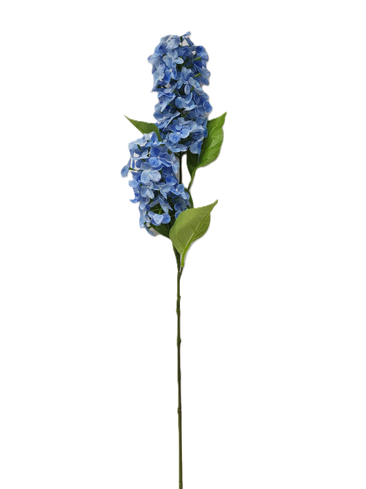 79441 | Cone Hydrangea x2 | Blue