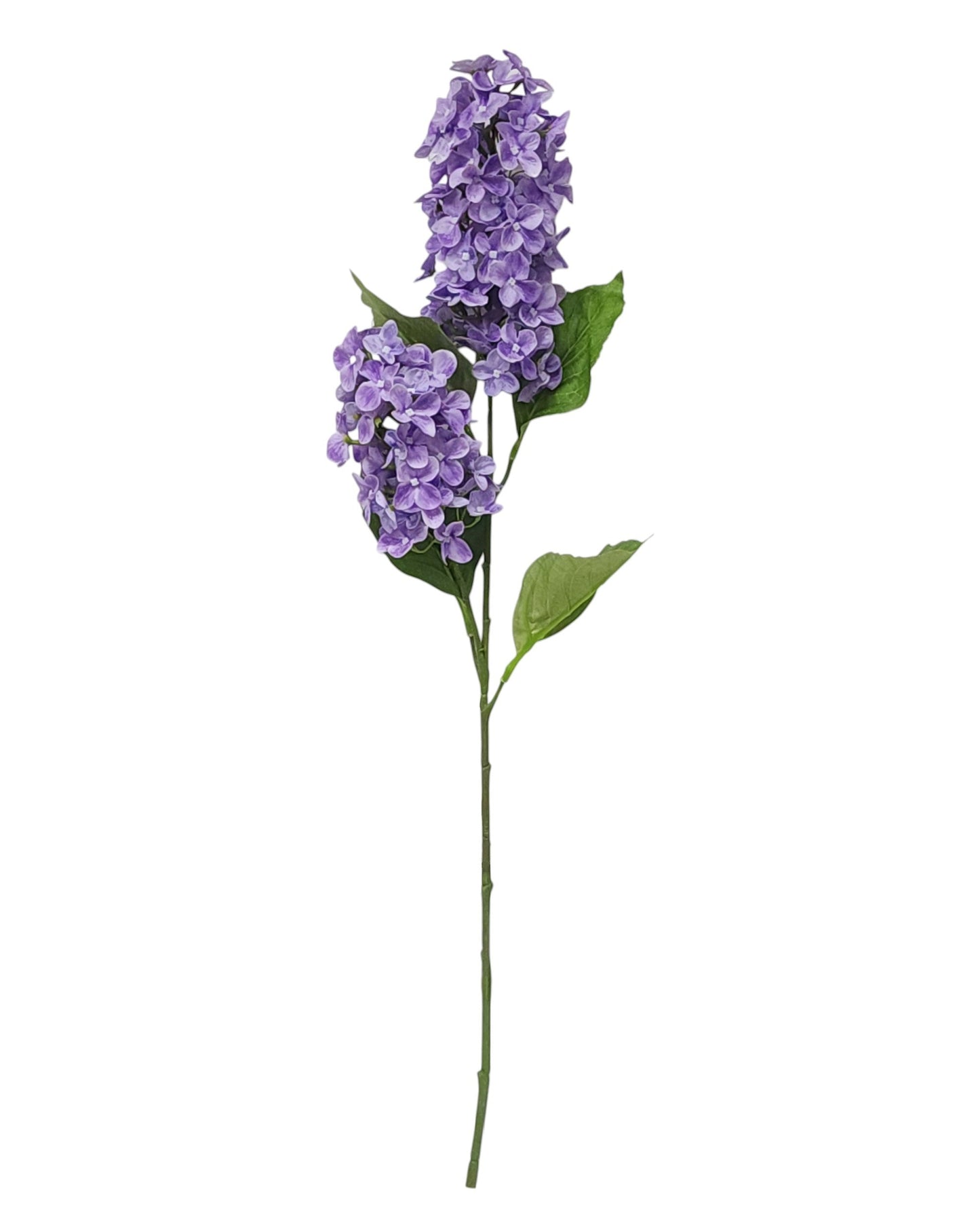 79442 | Cone Hydrangea x2 | Purple - A&B Wholesale Market Inc