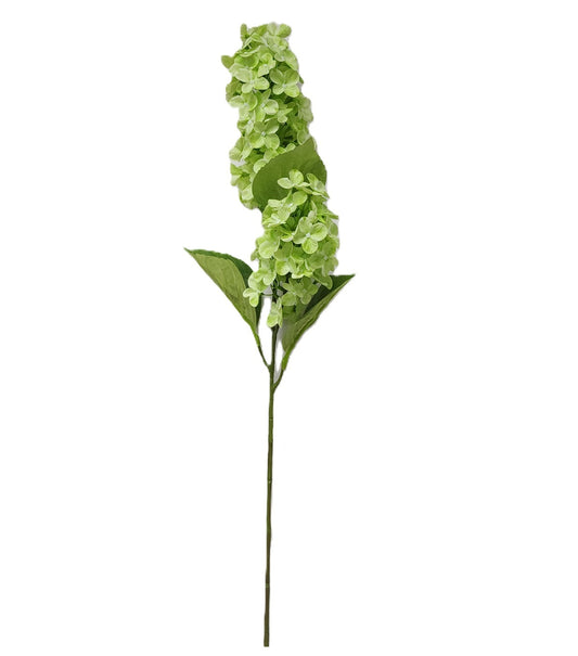 79444 | Cone Hydrangea x2 | Green