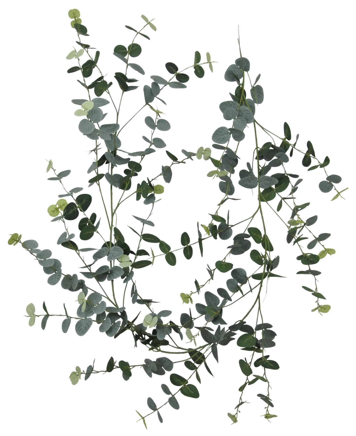 80075-FROSTED 6' Eucalyptus Garland - A&B Wholesale Market Inc