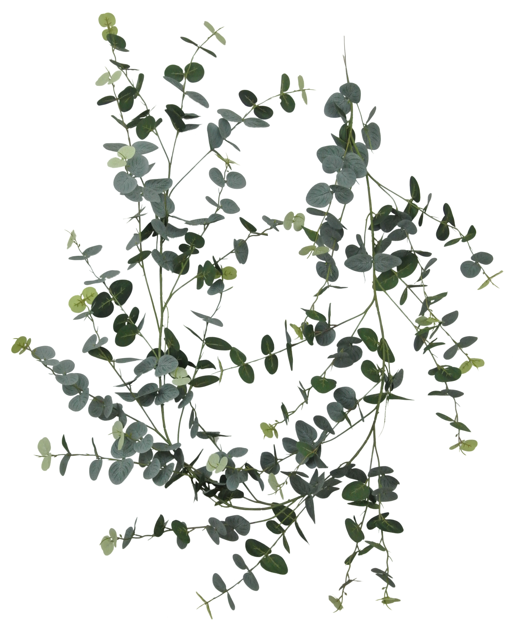 80075-FROSTED 6' Eucalyptus Garland - A&B Wholesale Market Inc