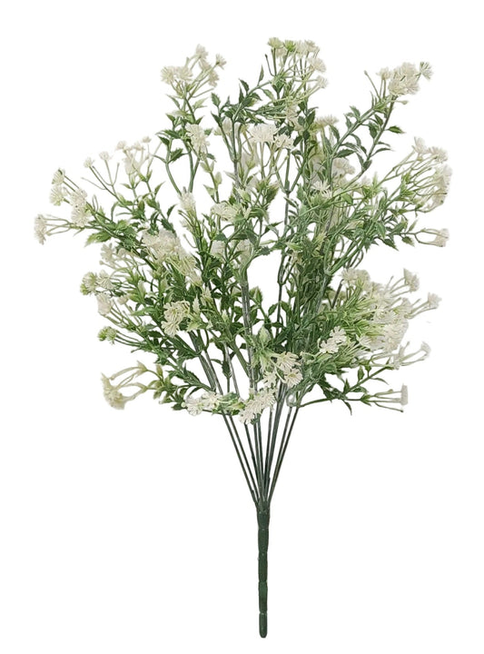 80131 | GYPSO BUSH X9 | CREAM