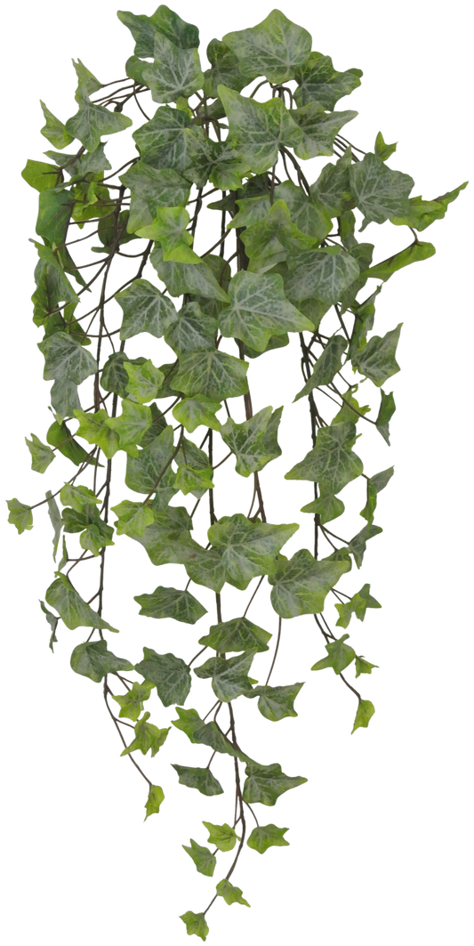 80241-FROST 28'' Ivy Hanger - A&B Wholesale Market Inc