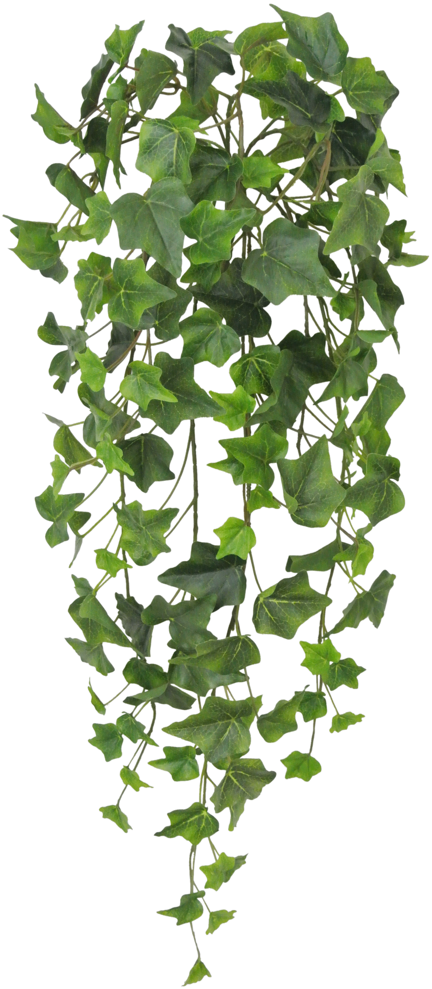 80241-GN 28" Ivy Hanger - A&B Wholesale Market Inc