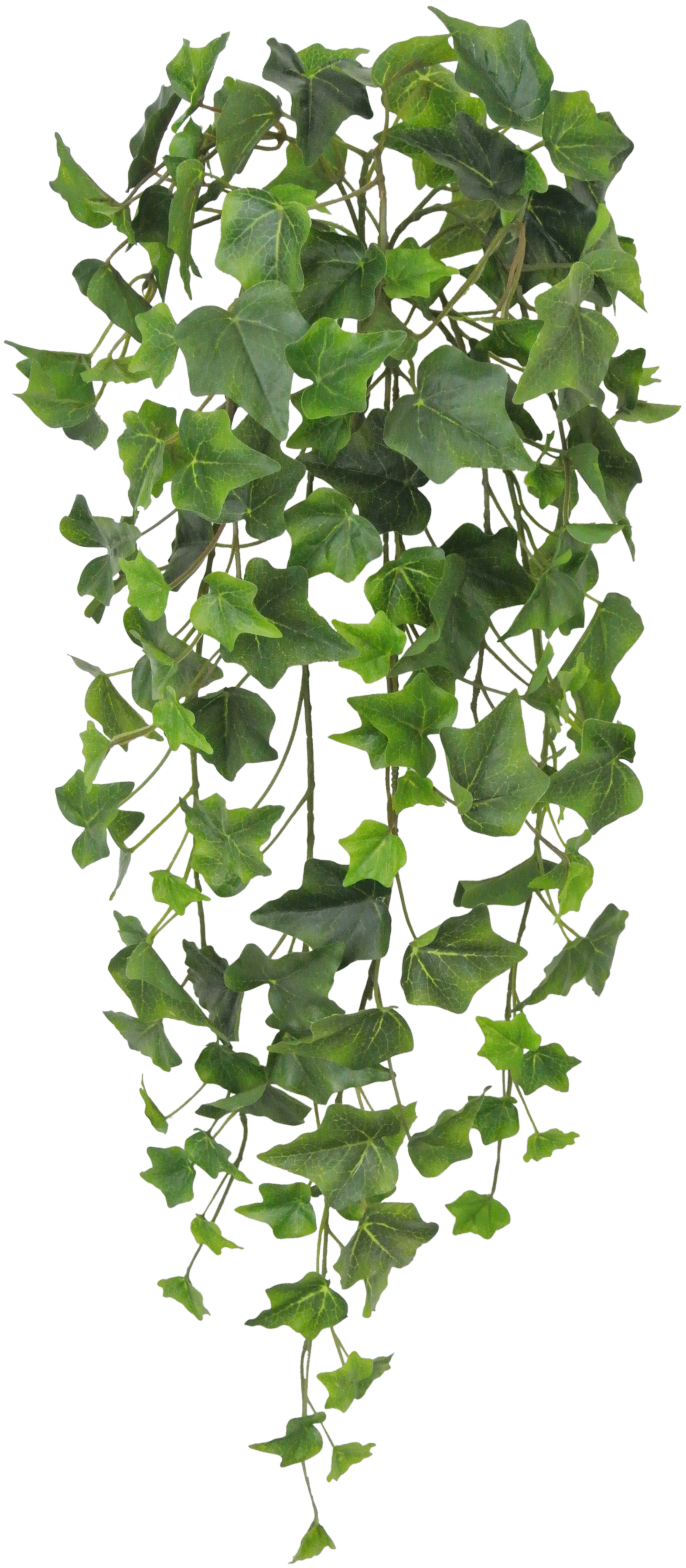 80241-GN 28" Ivy Hanger - A&B Wholesale Market Inc