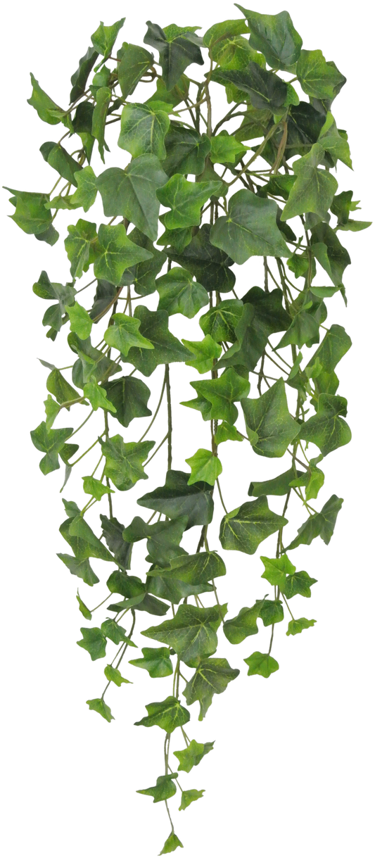 80241-GN 28" Ivy Hanger - A&B Wholesale Market Inc