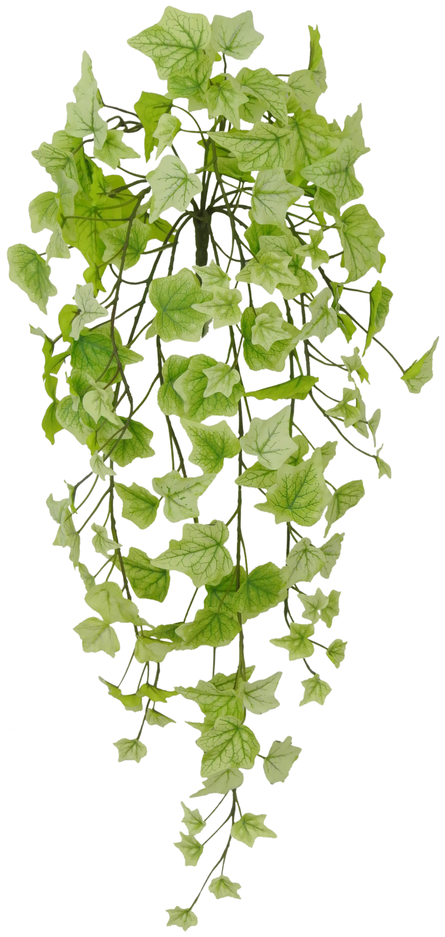 80241-LTGN 28" Ivy Hanger - A&B Wholesale Market Inc