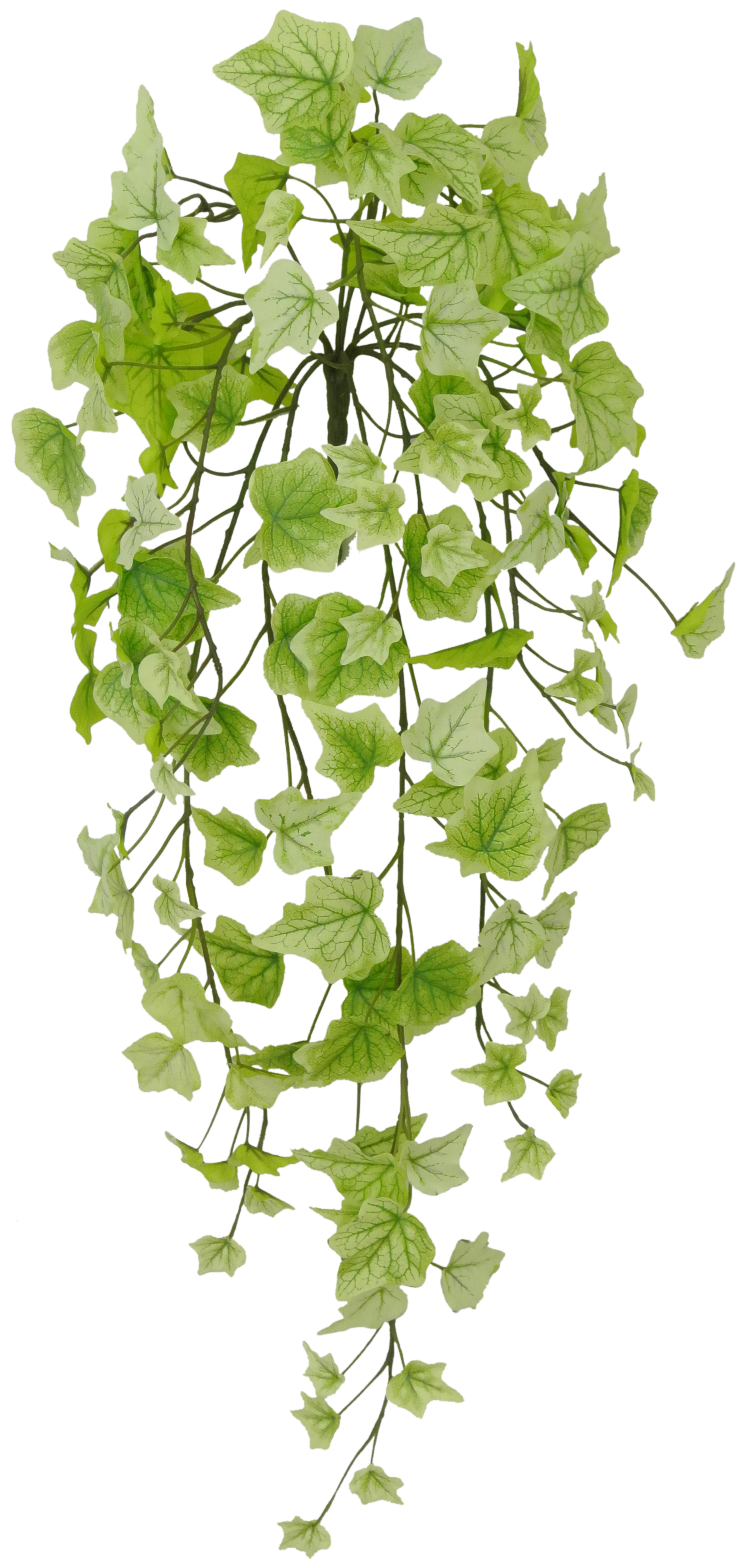 80241-LTGN 28" Ivy Hanger - A&B Wholesale Market Inc