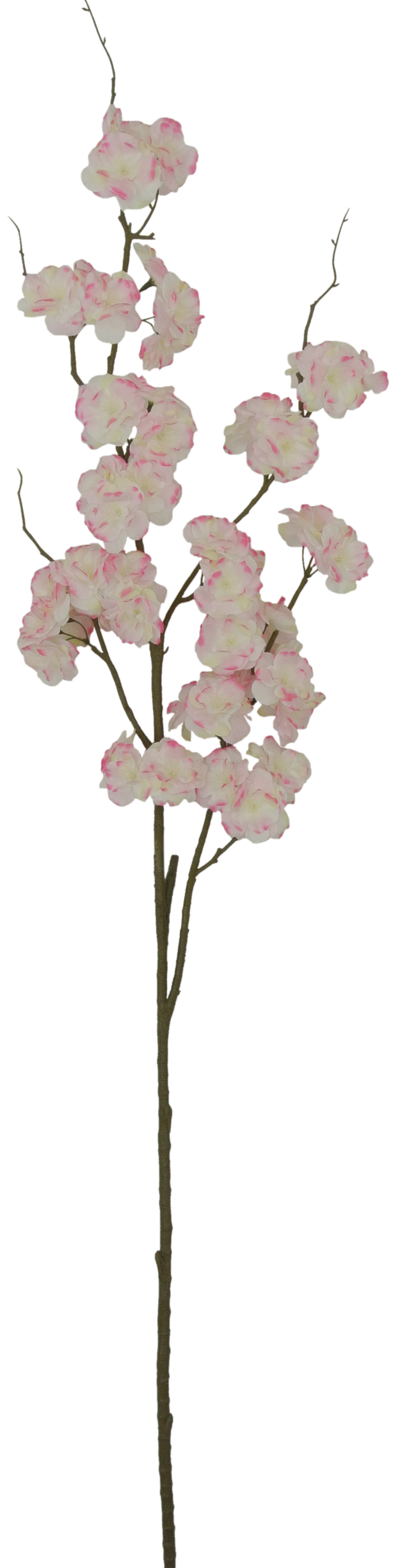 80299-PK | 50" | CHERRY BLOSSOM | PINK