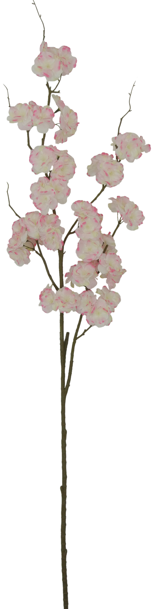 80299-PK | 50" | CHERRY BLOSSOM | PINK