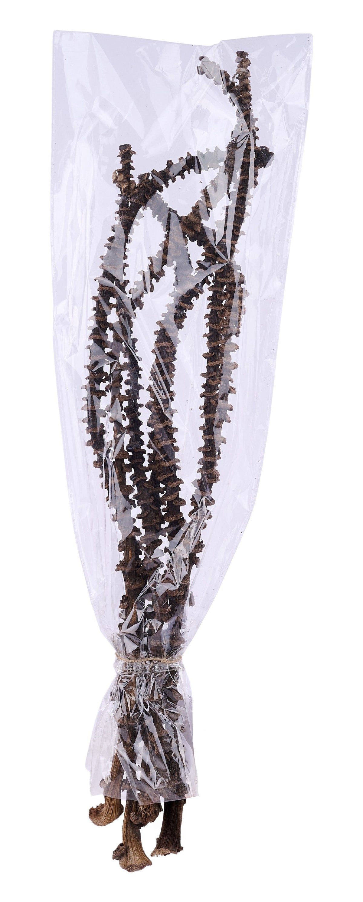 TT3065 | 15.75"L | Banana Stem Bundle x7 | Natural