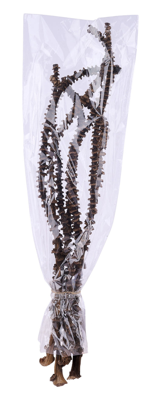 TT3065 | 15.75"L | Banana Stem Bundle x7 | Natural