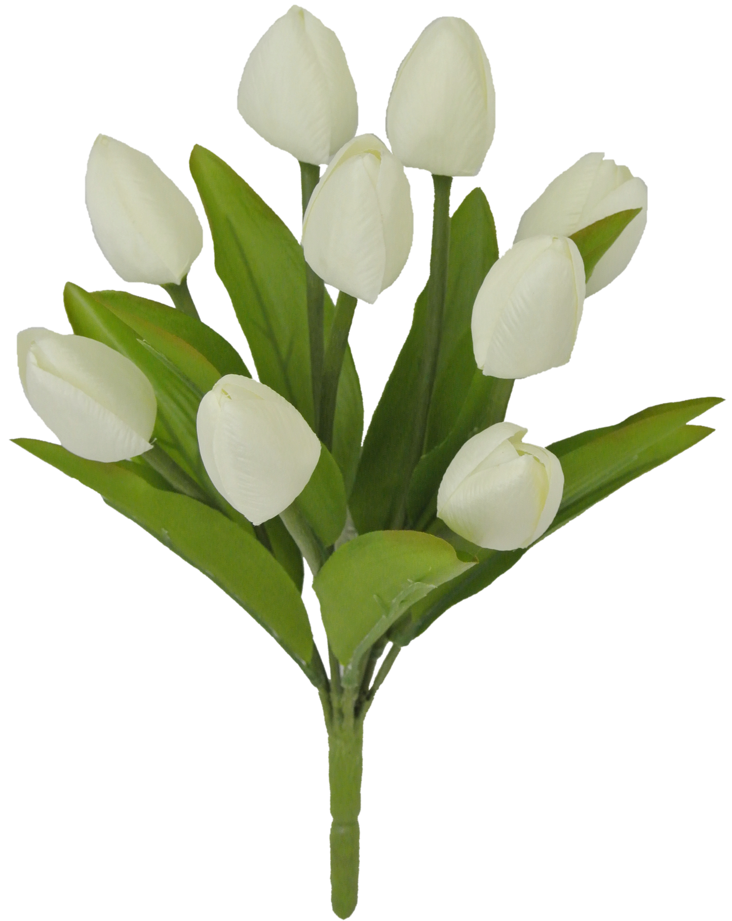 80310-CR 13" Tulip Bush x9 - A&B Wholesale Market Inc