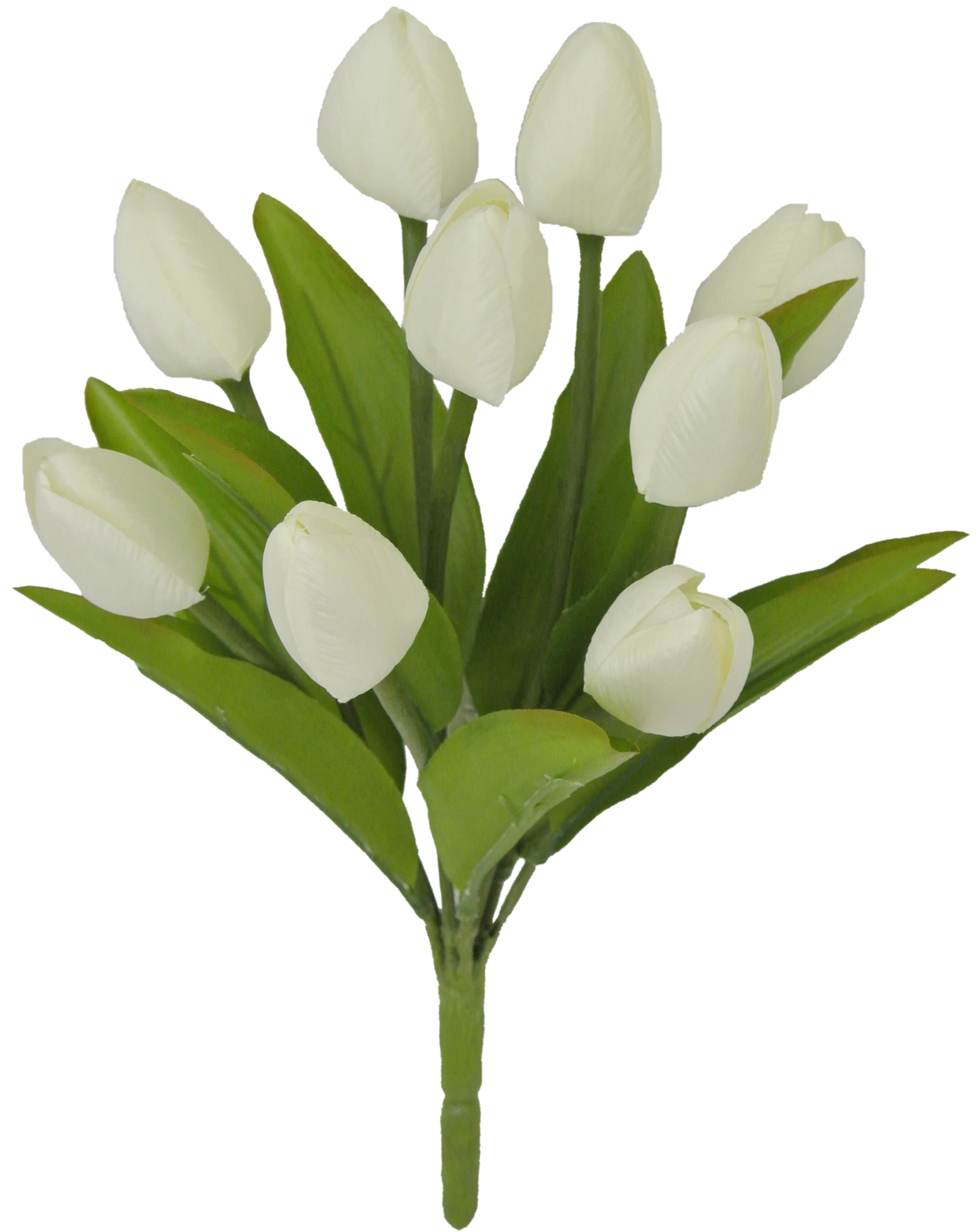 80310-CR 13" Tulip Bush x9 - A&B Wholesale Market Inc