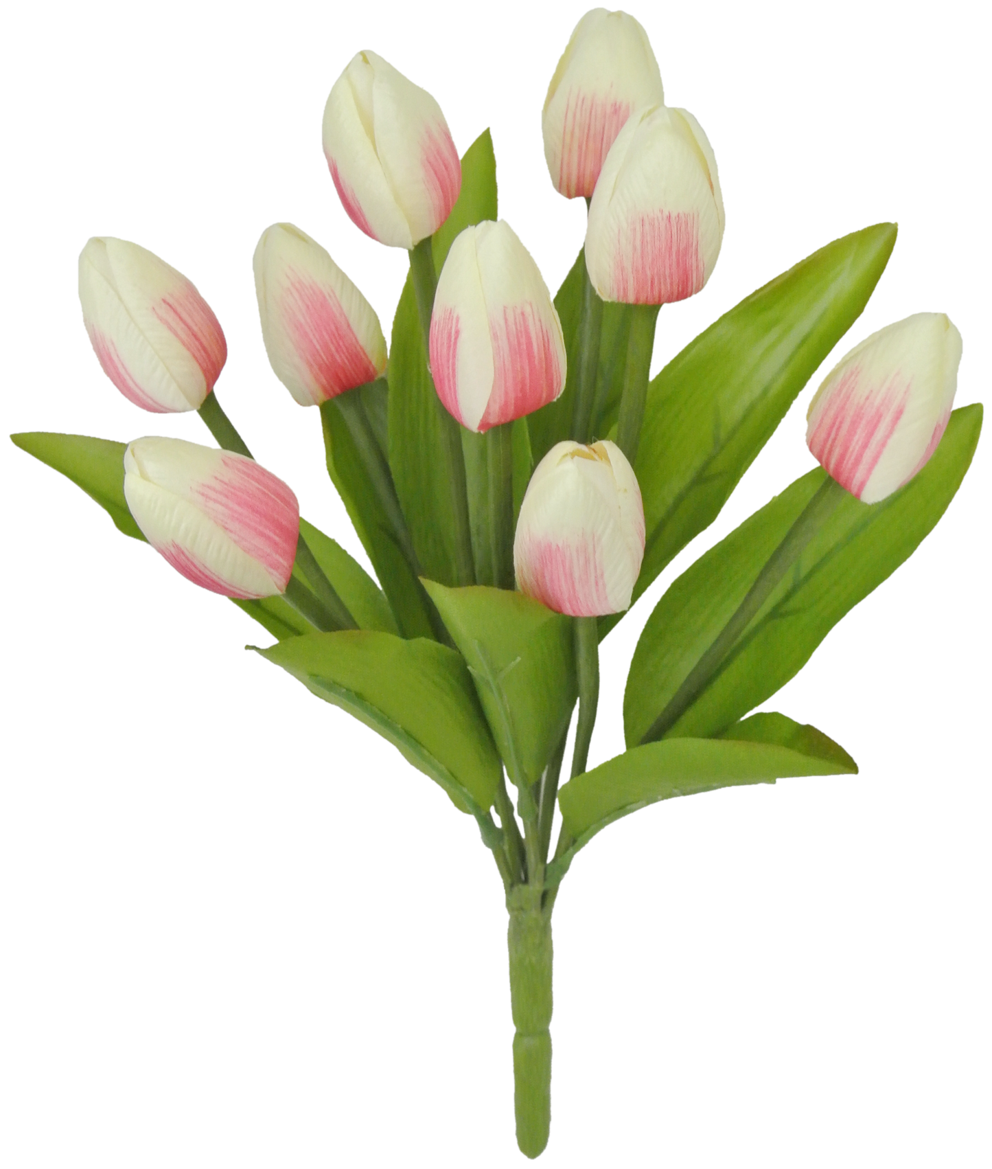 80310-CRPK | 13" | TULIP BUSH X9 | CREAM/PINK - A&B Wholesale Market Inc