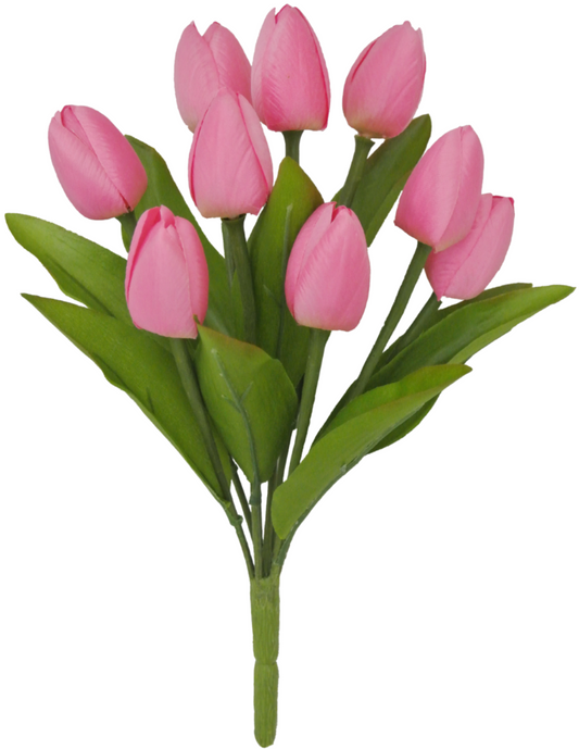 80310-PK 13" TULIP BUSH X9 - A&B Wholesale Market Inc