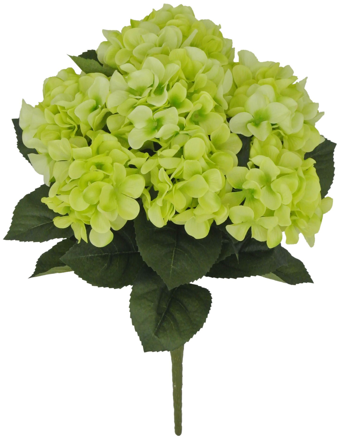 80312-GN 22" Hydrangea Bush x7 - A&B Wholesale Market Inc