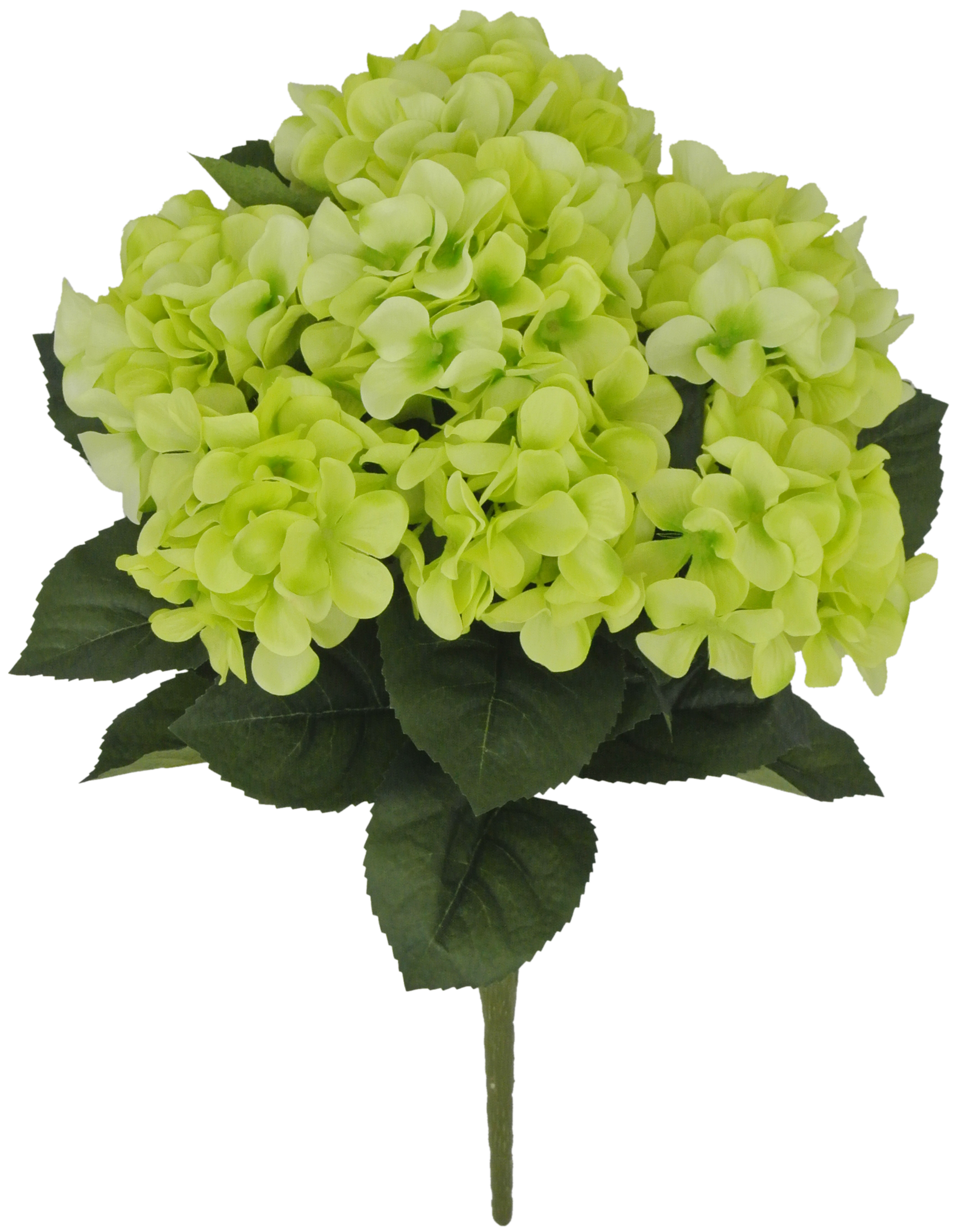 80312-GN 22" Hydrangea Bush x7 - A&B Wholesale Market Inc