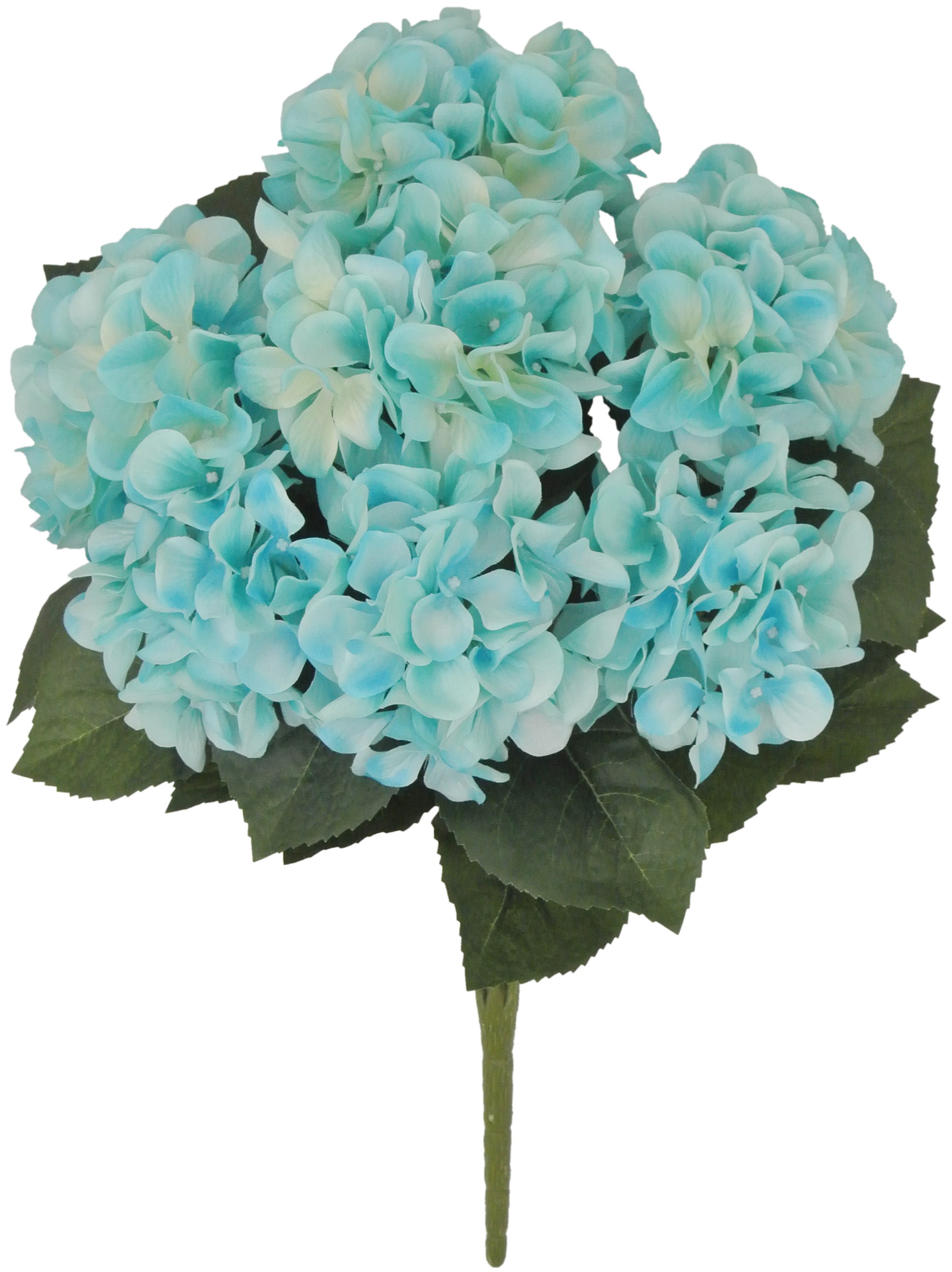 80312-TQ 22" Hydrangea Bush x7 - A&B Wholesale Market Inc