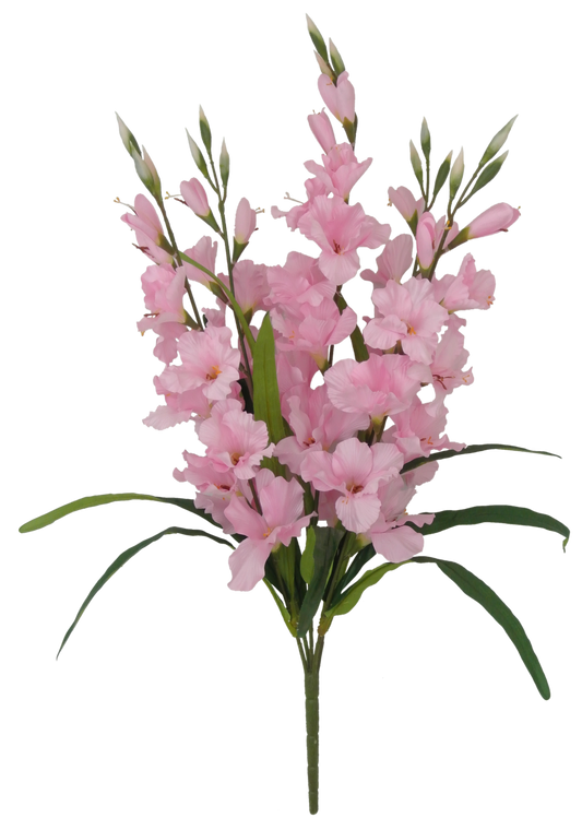 80358-PK Gladiolus Bush x5 - A&B Wholesale Market Inc