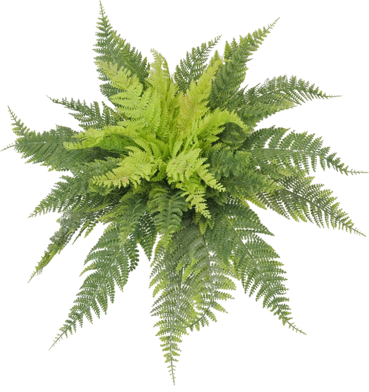 80812- 16" RUFFLE FERN BUSH - A&B Wholesale Market Inc