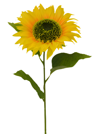 80839-YEL | 33" | Single Sunflower Stem | Yellow